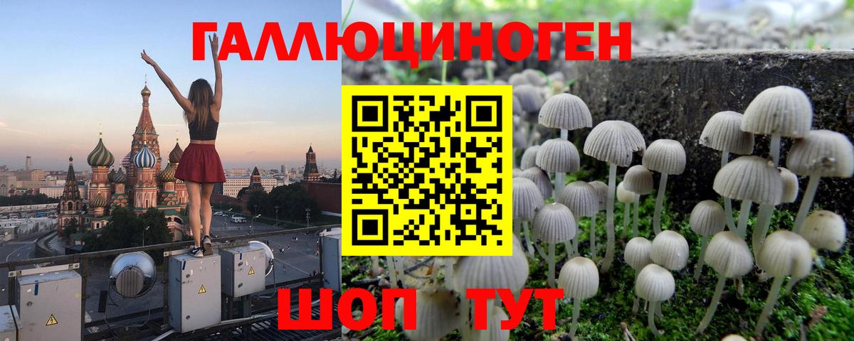 Галлюциногенные грибы GOLDEN TEACHER Янаул