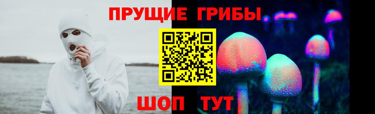 Янаул  Галлюциногенные грибы прущие грибы  Вход с VPN 